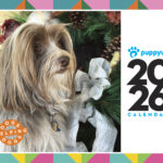 PUP-0044_2026Calendar_cover2