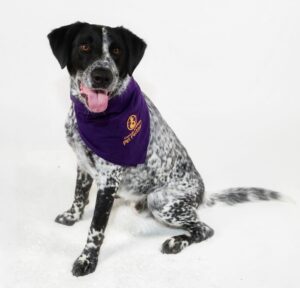 Billy Joe Rowan photo