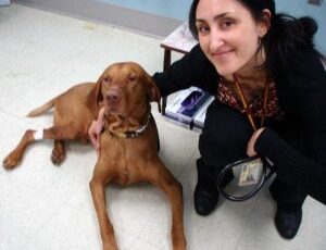 Drug Developed at University of Minnesota Increases Survival in Dogs with Cancer