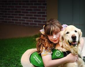 The miracle dogs who do what doctors cannot