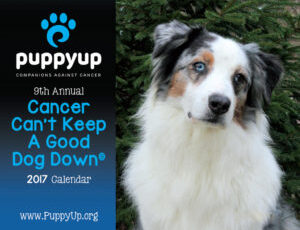2017 Puppy Up Calendars Are Ready To Order!