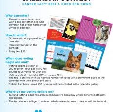 Have You Entered? Have You Voted?