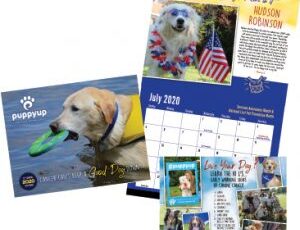 Make Your Dog A Star!