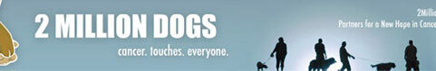 2 Million Dogs — Our Mission