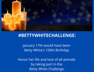 Remembering Betty White