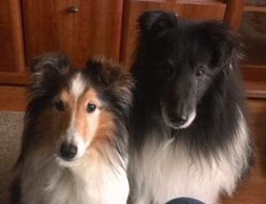Abby and Tuxedo Terwilliger