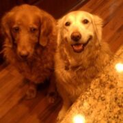 Allie & Lexie Hypse