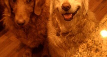 Allie & Lexie Hypse