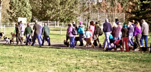 Nationwide Puppy Up! Walks Combat Cancer, Raise Funds for 2 Million Dogs