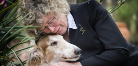 Research — T-Regulatory Cells In The Immune System