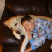 Cooper