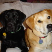 Zoe and Saffron
