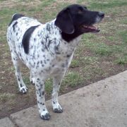Daisy Leggat