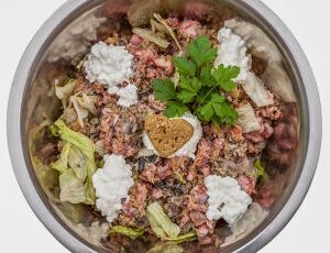 Are You Storing Your Dog’s Food the Right Way? If Not, It Could Put Your Pup in Danger.