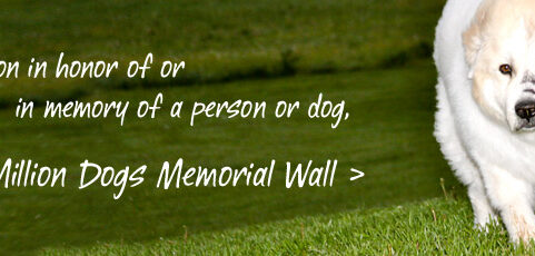 New Memorial Wall