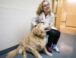 Comparative Medicine: Saving Canine and Human Lives