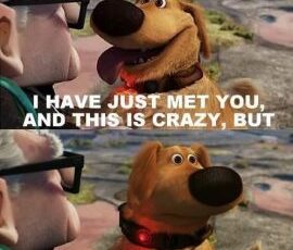 It’s Squirrel Appreciation Day! How will you and your dog celebrate?