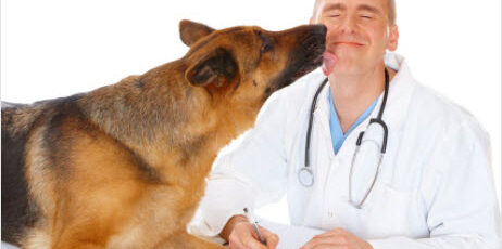 Understanding the Osteosarcoma Pathobiology: A Comparative Oncology Approach