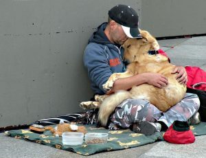 Feeding Pets of the Homeless Week – 2nd Full Week in August
