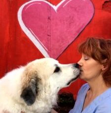 Show Your Love Puppy Up Kiss Cam Contest!