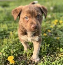 Help Us Bridge the Gap