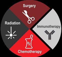 MediVet Biologics Announces Publication on Immunotherapy Vaccine for Canine Cancer