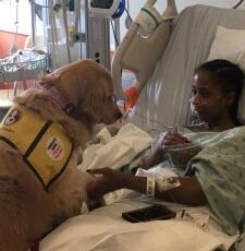 How Pets Can Help Humanize ICUs and Speed Recovery