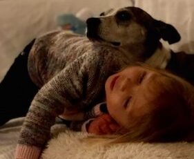 Meet the first dog to complete a clinical trial aimed at treating hemangiosarcoma.