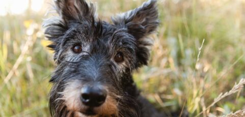 Congratulation To Our 2016 Calendar Winners!