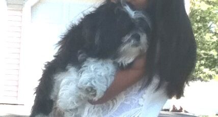 13 YEAR OLD’S CLASS PROJECT FIGHTS CANCER IN DOGS AND PEOPLE