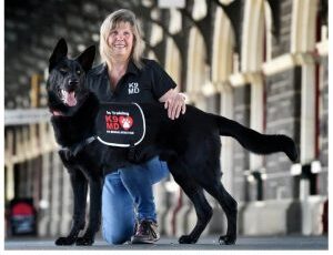 A nose for disease needed for the job