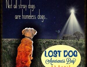 NATIONAL LOST DOG AWARENESS DAY — April 23