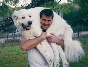 12 Years And Going Strong!