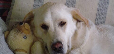 Maggie Boo Langlinais