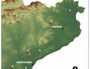 Stone-age peoples in the Iberian Peninsula shared graves with dogs