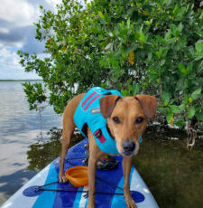 Pup of the Month – Grace White