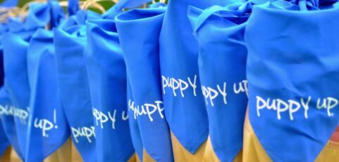 The Memphis Puppy Up! Party Is Almost Here — Don’t Miss It!