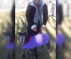 Keep new year happy with pet resolutions