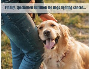 Nutrition can fight canine cancer