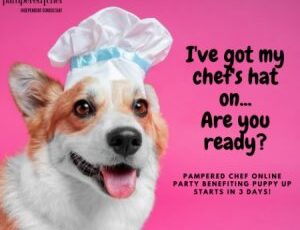 Pampered Chef Online Fundraiser – August 14-23, 2020