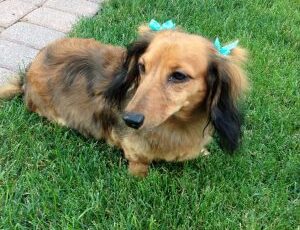 Cancer drug discovered by University professor starts new clinical trial