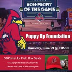 Puppy Up Night at the Memphis Redbirds Game