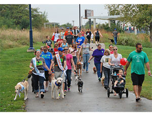 2016 Puppy Up! Des Moines, Iowa Walk