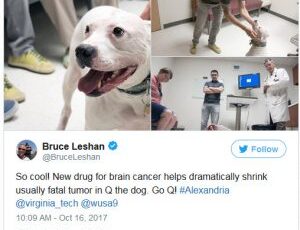 Cancer Treatment Shows Promise in People