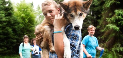 Meet Rebel from PuppyUp Anchorage, Alaska