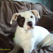 Roxy Cote