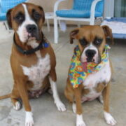 Sonny and Chiba Erceg