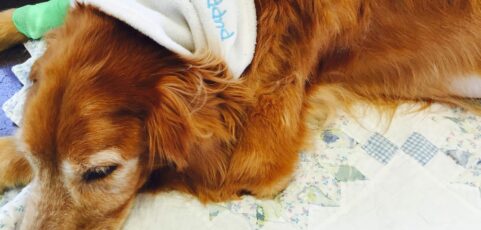 Miles To Go Before I Sleep