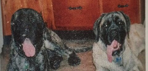 Titan & Troya
