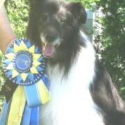 Tuxedo “Tux” Terwilliger